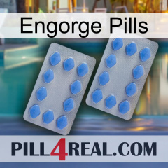 Engorge Pills 20